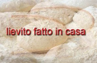 lievito-fatto-in-casa