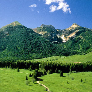 a. Montagna