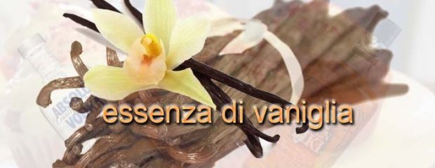 essenza-di-vaniglia-