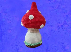 fungo amanita muscaria 2