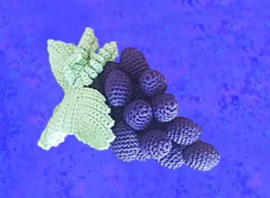grappolo di uva e foglia