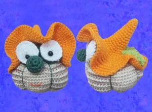 zucca sfumata con cappello